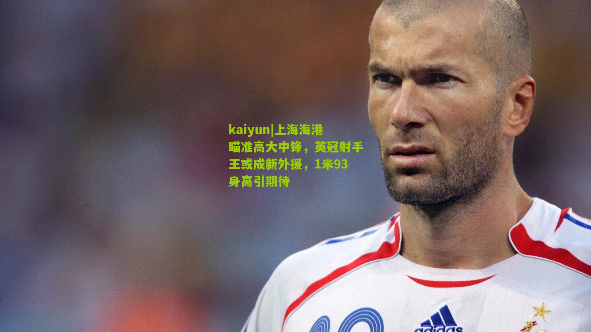 上海海港瞄准高大中锋，英冠射手王或成新外援，1米93身高引期待
