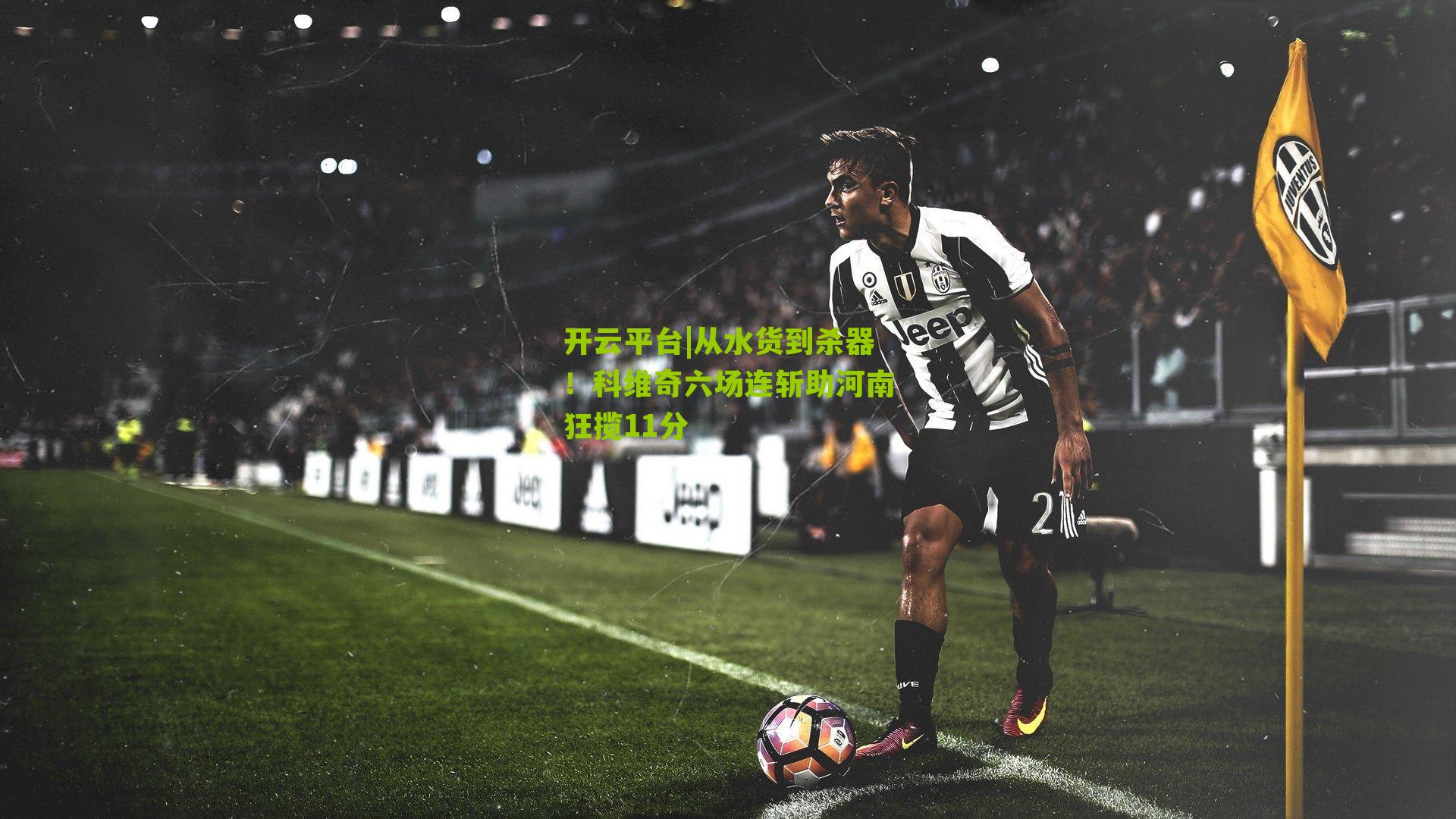 从水货到杀器！科维奇六场连斩助河南狂揽11分